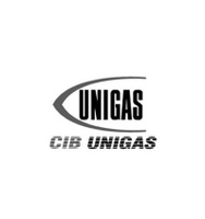CIB Unigas 2610017 Форсунка для дизельных горелок
