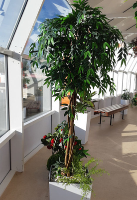 Искусственное оливковое дерево 80 см в интернет-магазине FUSION