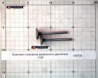 Комплект клапанов дизельного двигателя 170F