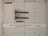Клапан входа-выхода бензинового двигателя 1P70FA