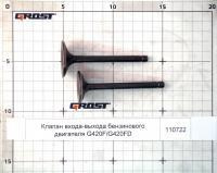 Клапан входа-выхода бензинового двигателя G420F/G420FD