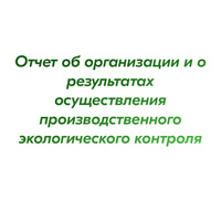 Отчет об организации и о результатах осуществления производственного