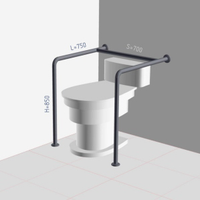 Поручень Напольно настенный для унитаза 750x850