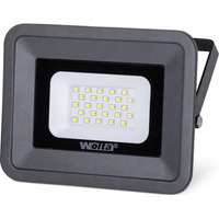 Светодиодный лампа Wolta WFL-20W/06