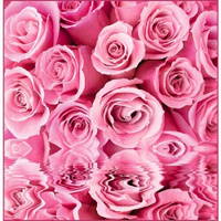 Фотообои Vostorg № 235 Розовые розы 196х201см DeliceDecor