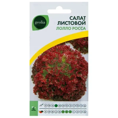 Семена Салат листовой Geolia «Лолло Росса» GEOLIA None в Иркутске. Ценатовара 25 ₽, в наличии - BLIZKO
