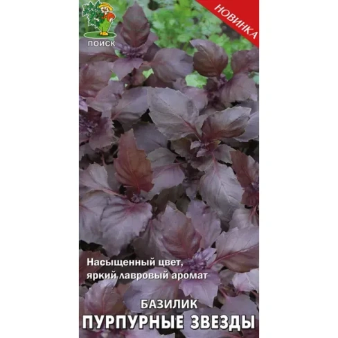 Семена Базилик овощной «Пурпурные звёзды» (А), 1 г ПОИСК