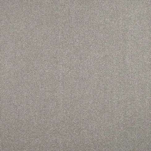 Ковровое покрытие «Парадиз 580», 3 м, цвет жемчуг ЗАРТЕКС None