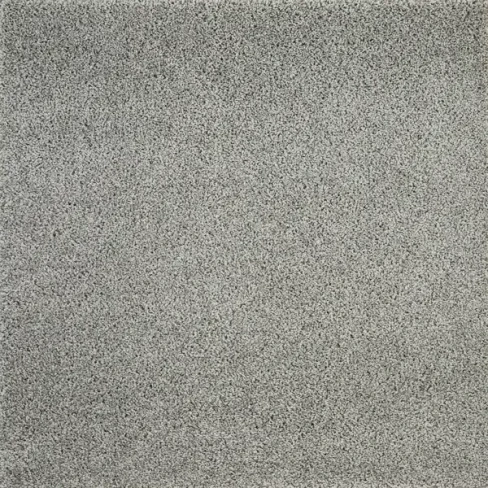 Ковровое покрытие «Шегги Фьюжн» 80202-49022 2.5 м, цвет серый Без бренда None