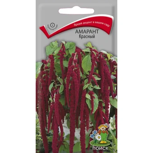 Семена Амарант «Красный» ПОИСК Цветная семена цветов