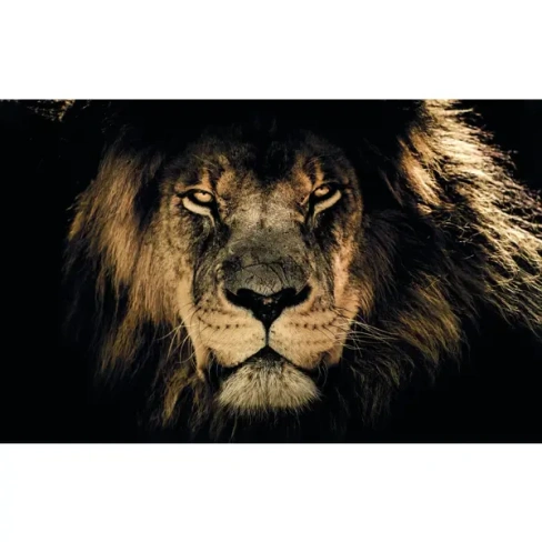 Картина на холсте Африканский лев 60x100 см Без бренда 2022 холст 60х100