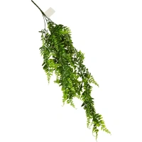 Искусственное растение Колумнея 50x8 см цвет зеленый ПВХ Без бренда None