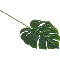 Искусственное растение Монстера ветка h72 см полиэстер зеленый Без бренда None
