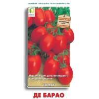 Семена овощей Поиск томат Де Барао ПОИСК None