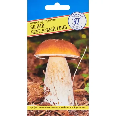 Мицелий грибов белый гриб Березовый ПРЕСТИЖ СЕМЕНА None