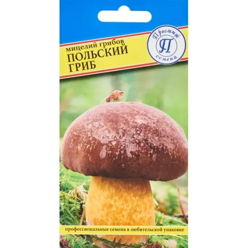 Мицелий грибов гриб Польский ПРЕСТИЖ СЕМЕНА None